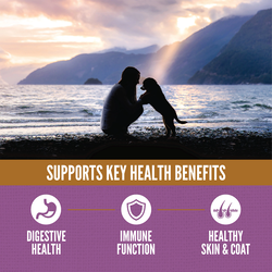 null - Product thumbnail 5.0